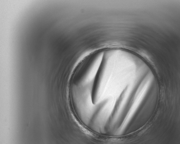 X0000080111424200612221753