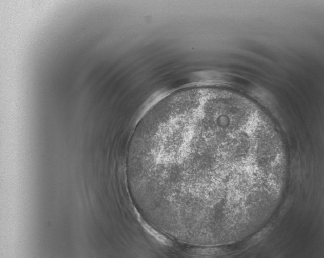 X0000080111425200612221753