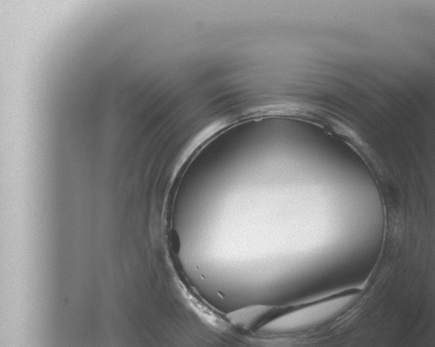 X0000080111426200612221753