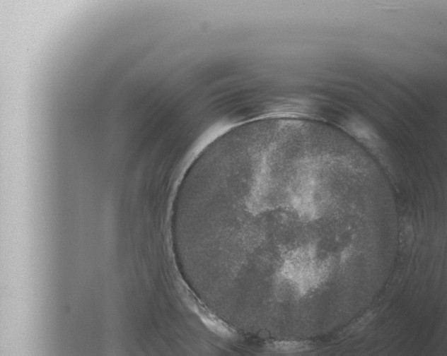 X0000080111427200612221753