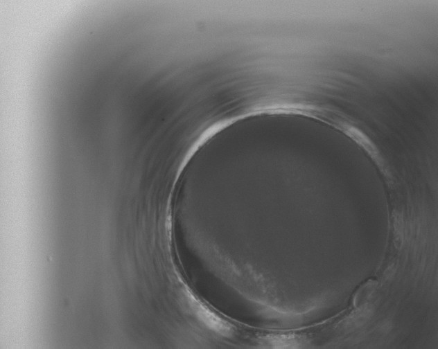 X0000080111428200612221753