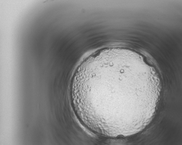 X0000080111429200612221753