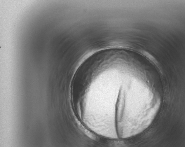 X0000080111431200612221753