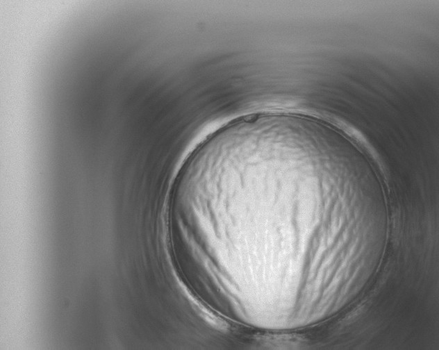 X0000080111432200612221753