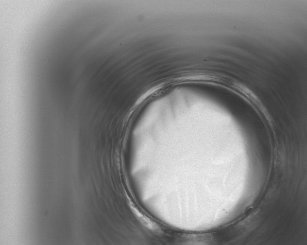 X0000080111433200612221753