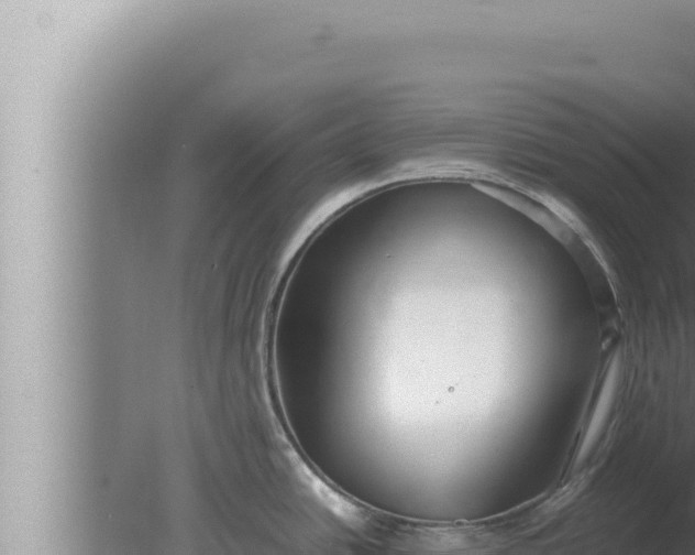 X0000080111438200612221753