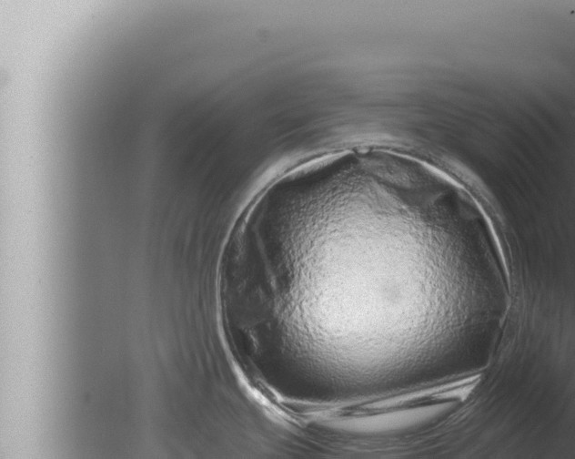 X0000080111439200612221753