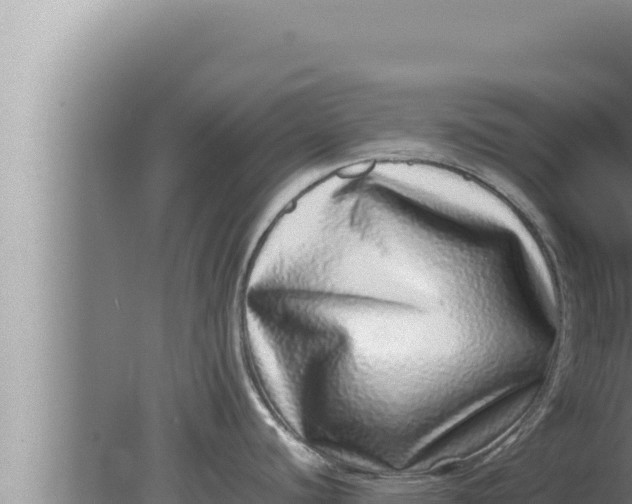 X0000080111440200612221753