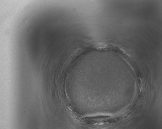 X0000080111441200612221752