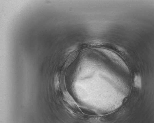 X0000080111444200612221752