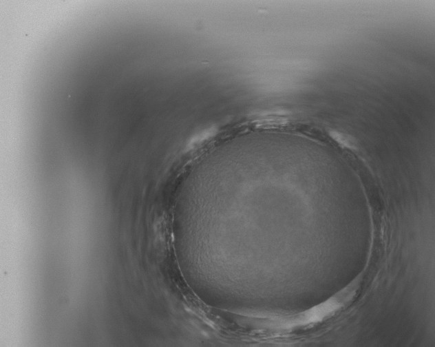 X0000080111445200612221752