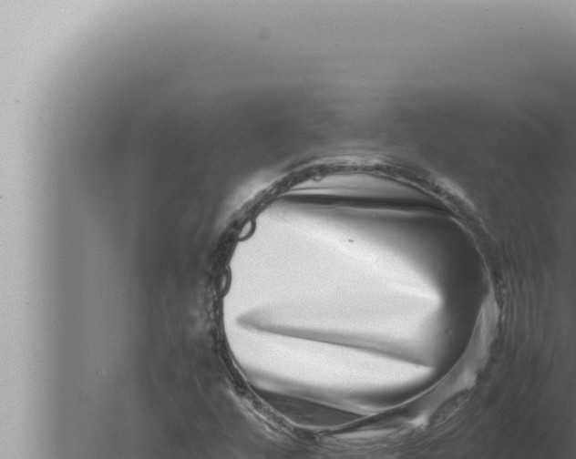 X0000080111448200612221752