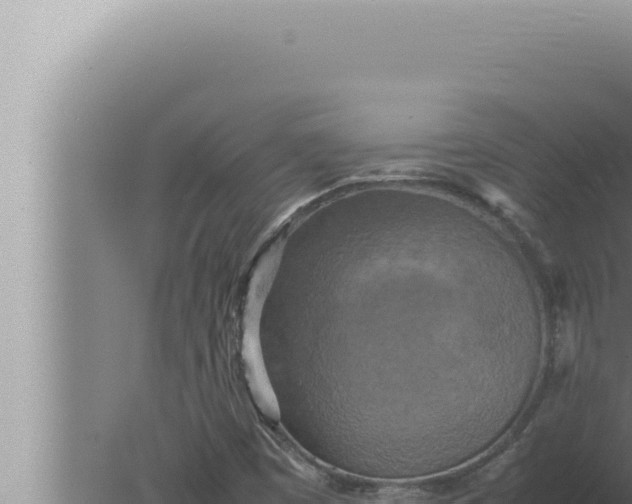 X0000080111449200612221752