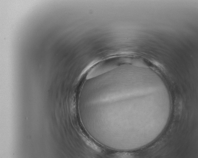 X0000080111450200612221752