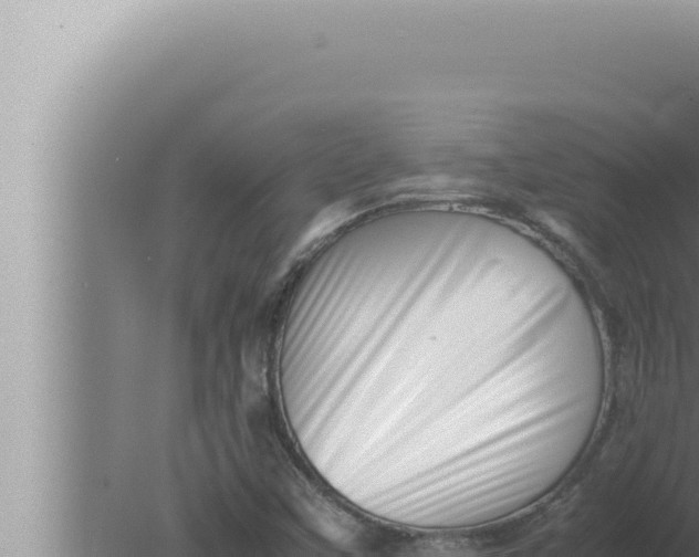 X0000080111451200612221752