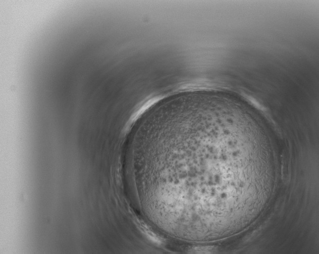 X0000080111453200612221752