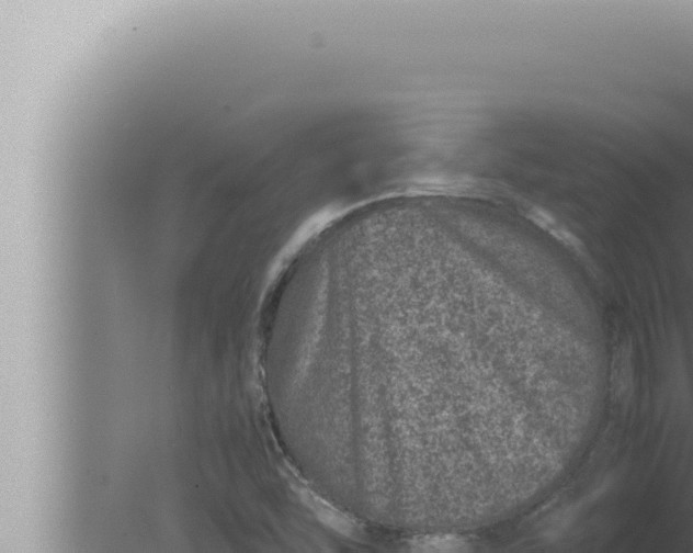 X0000080111454200612221752