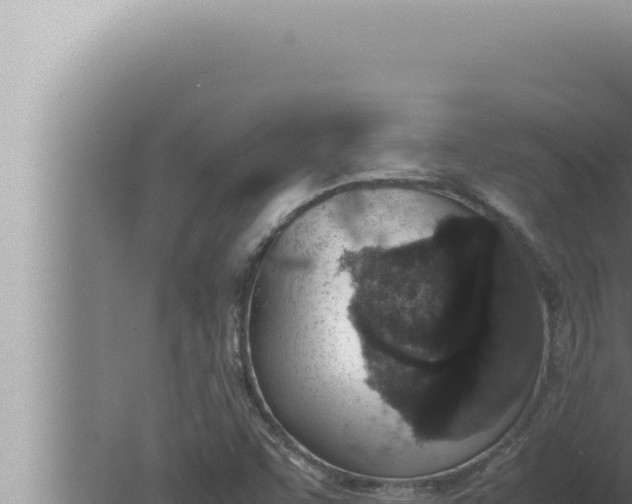 X0000080111455200612221752