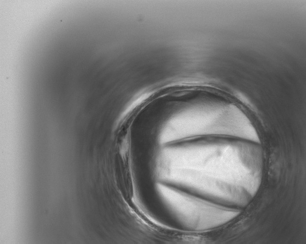 X0000080111456200612221752