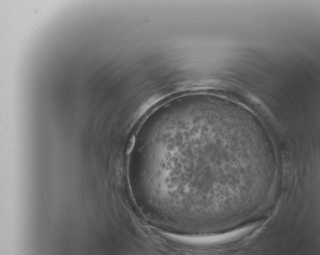 X0000080111457200612221752