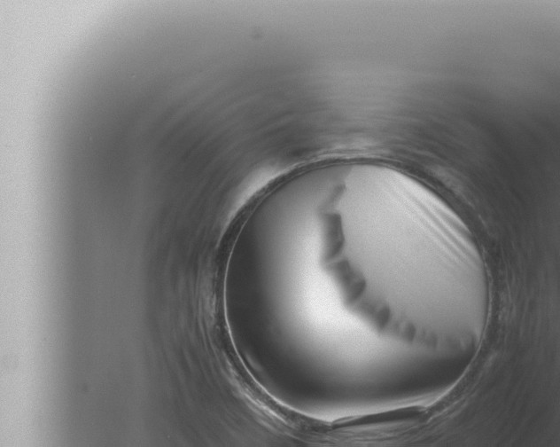 X0000080111458200612221752