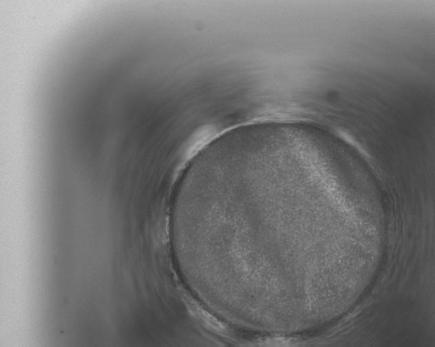 X0000080111459200612221752