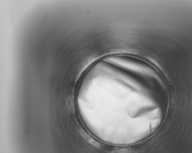 X0000080111460200612221752