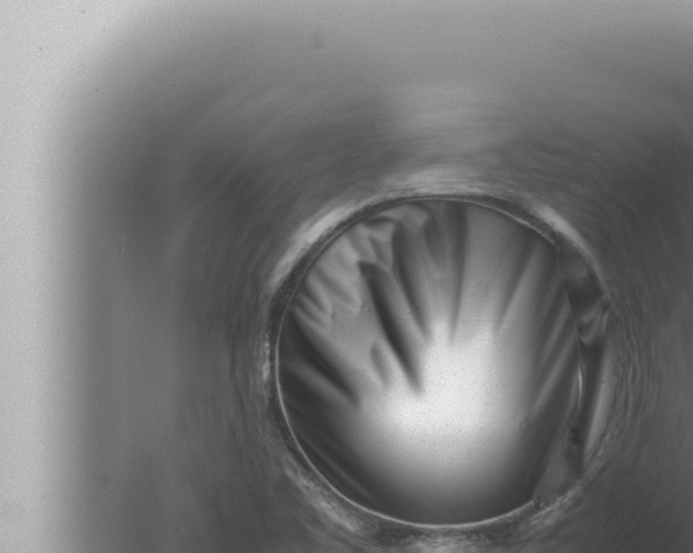 X0000080111461200612221752