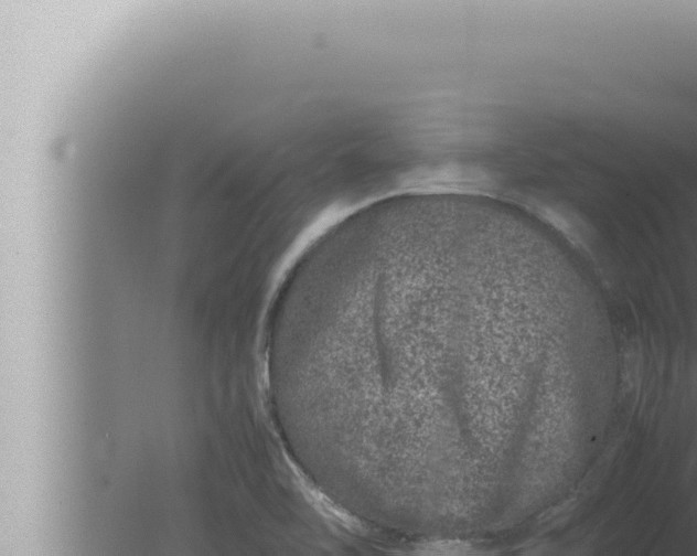 X0000080111462200612221752