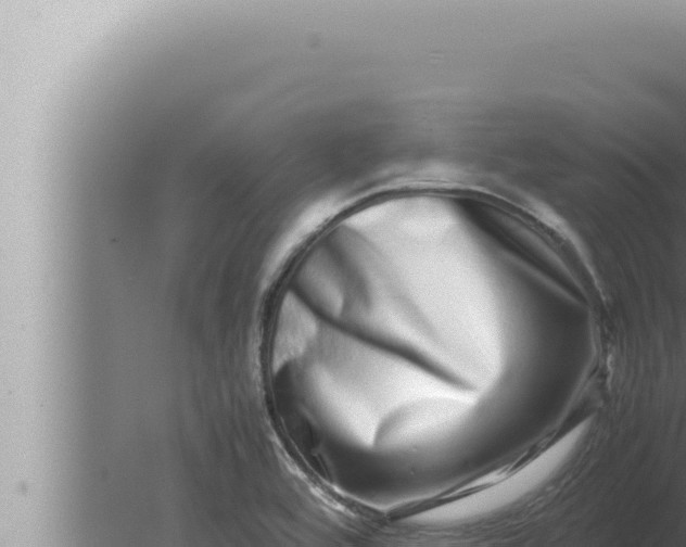 X0000080111464200612221752