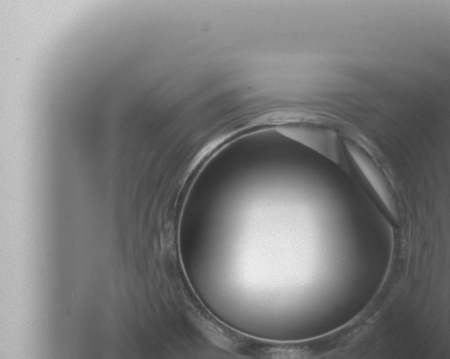 X0000080111465200612221752