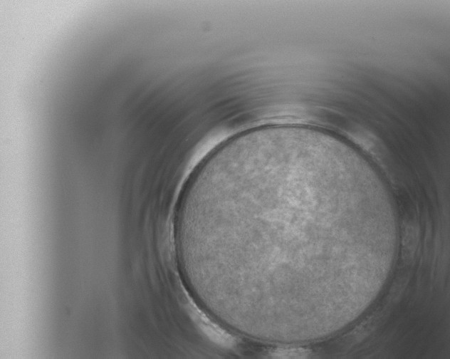 X0000080111466200612221752