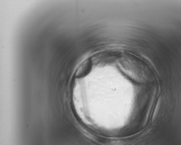 X0000080111467200612221752