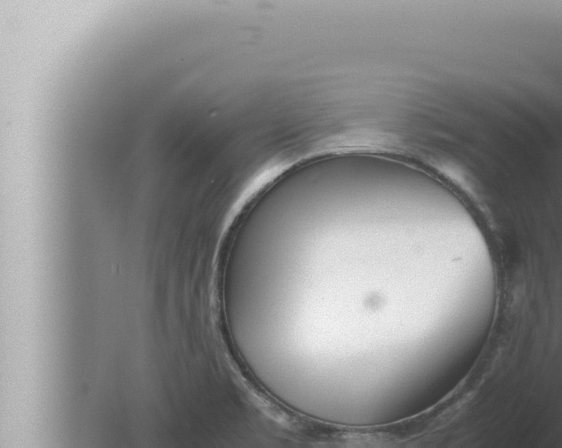 X0000080111469200612221752