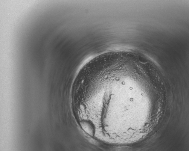 X0000080111471200612221752