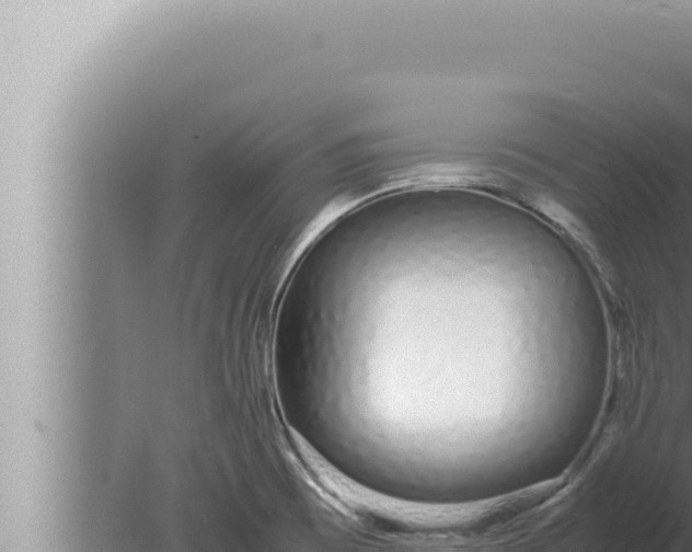 X0000080111473200612221752