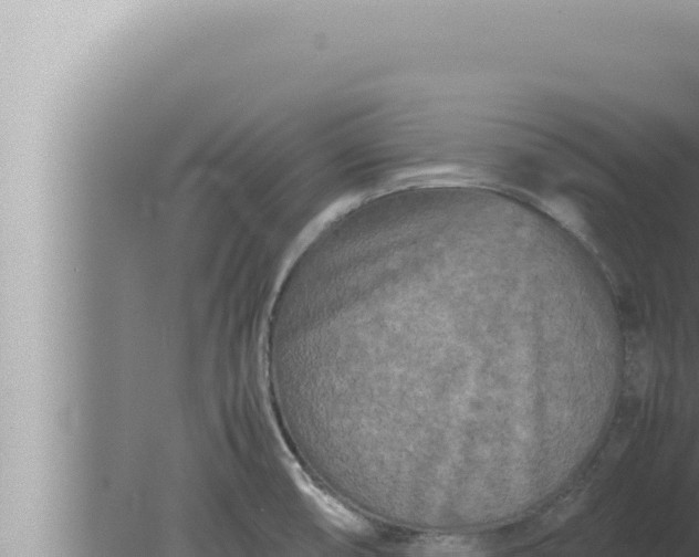 X0000080111474200612221752