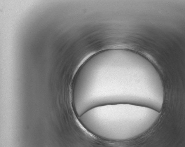 X0000080111476200612221752