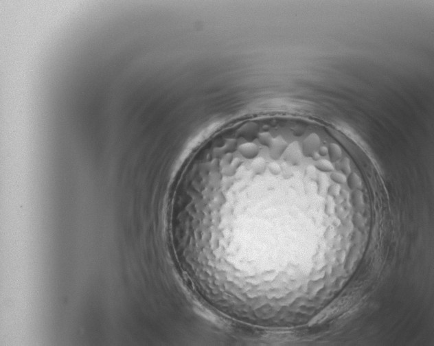 X0000080111477200612221752