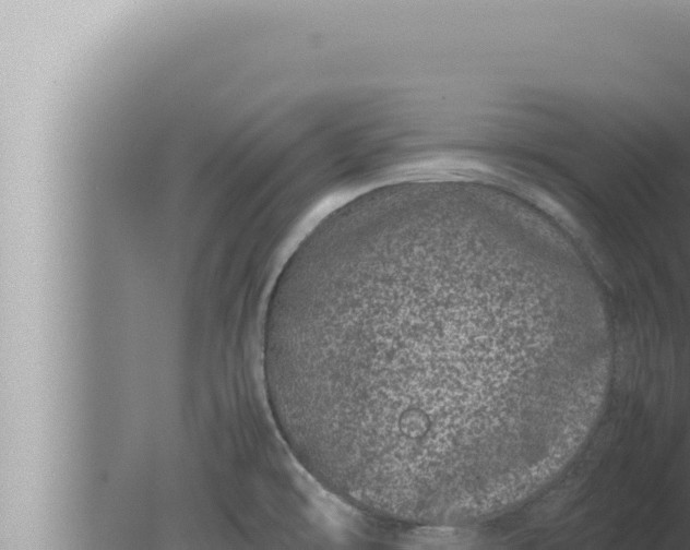 X0000080111478200612221752