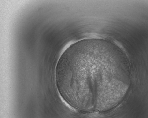 X0000080111479200612221752