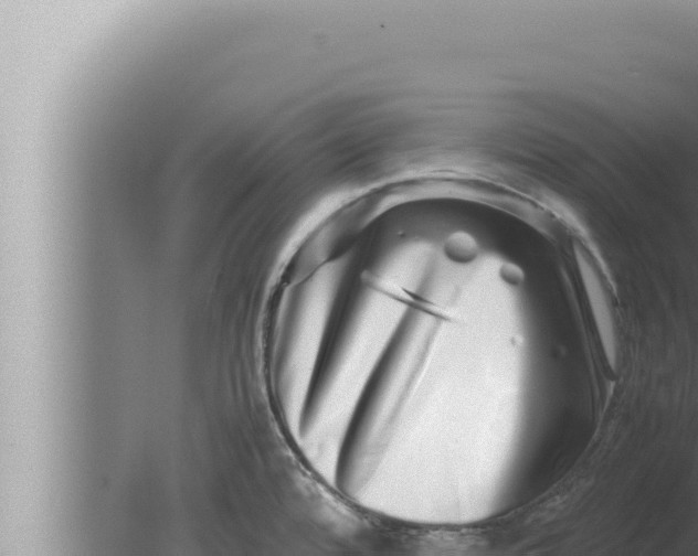 X0000080111480200612221752