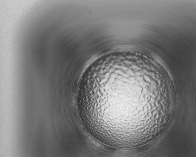 X0000080111481200612221752