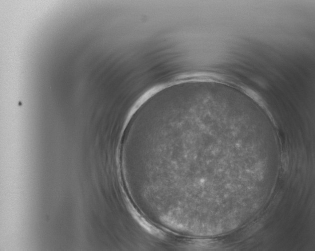 X0000080111482200612221752