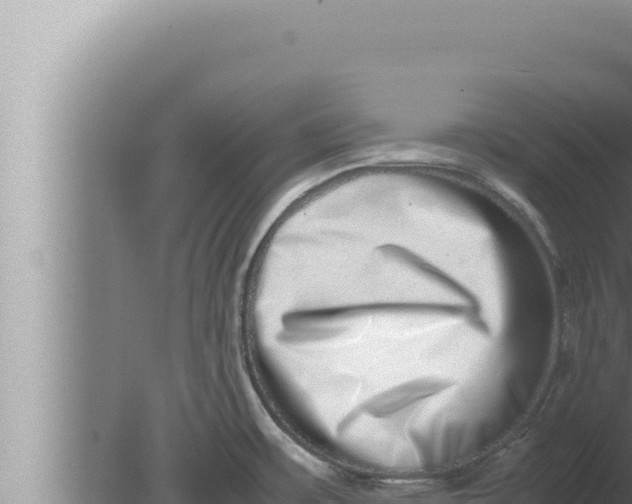 X0000080111483200612221752