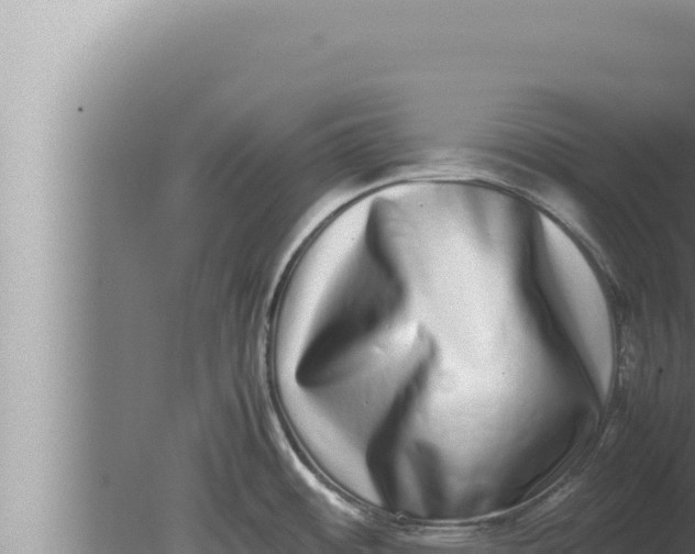 X0000080111484200612221752