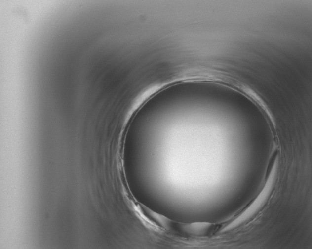 X0000080111485200612221752