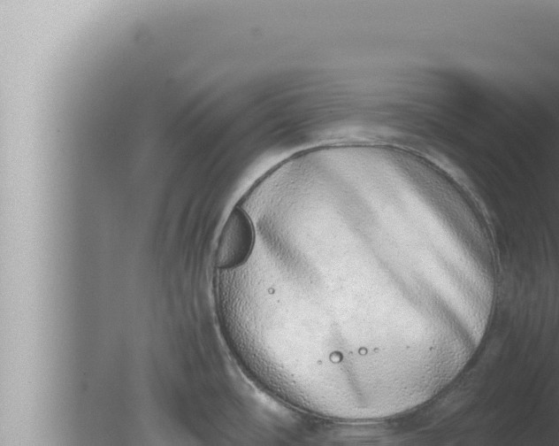 X0000080111486200612221752