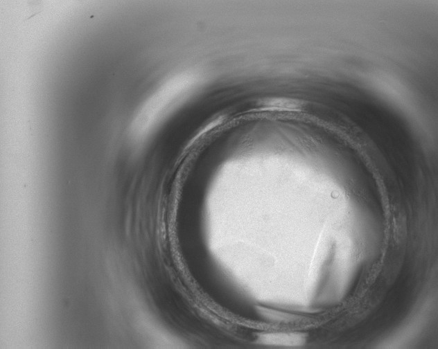 X0000080111487200612221752