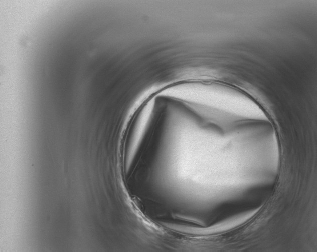 X0000080111488200612221752